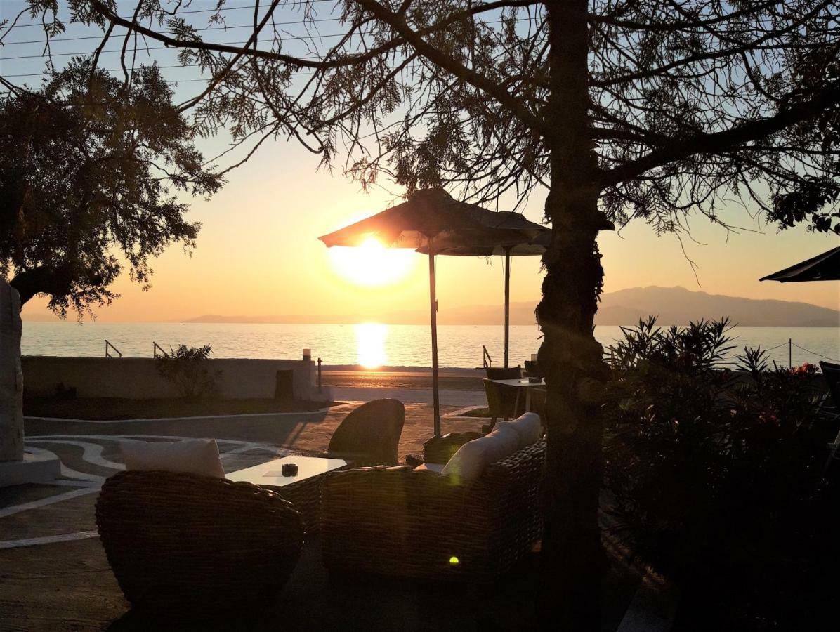 Orama Thassos Hotel Skala Sotiros Exterior photo