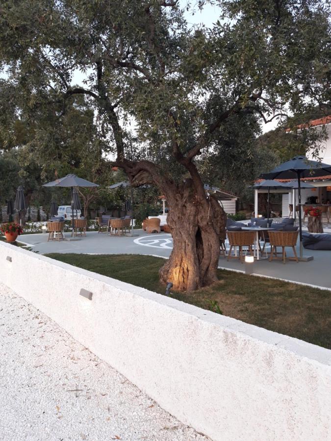 Orama Thassos Hotel Skala Sotiros Exterior photo